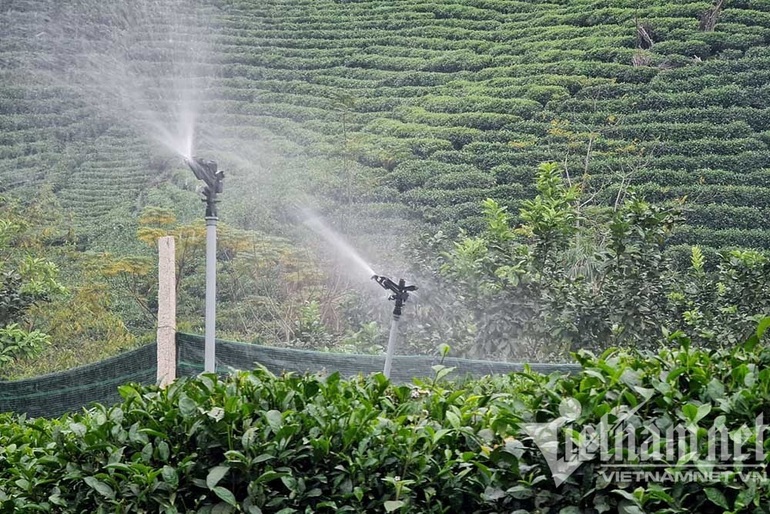 Cho chè ăn trứng gà, huyện ở Thái Nguyên chia nhau bọc tiền 1.200 tỷ - 5 Cho chè ăn trứng gà, huyện ở Thái Nguyên chia nhau bọc tiền 1.200 tỷ - 5