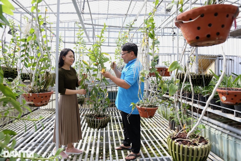 Mãn nhãn với gia tài của ông chủ vườn phải đưa vào hội ... cai nghiện lan - 5