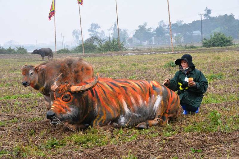 Trâu hóa hổ cho ngày lễ Tịch điền năm Dần  - 3