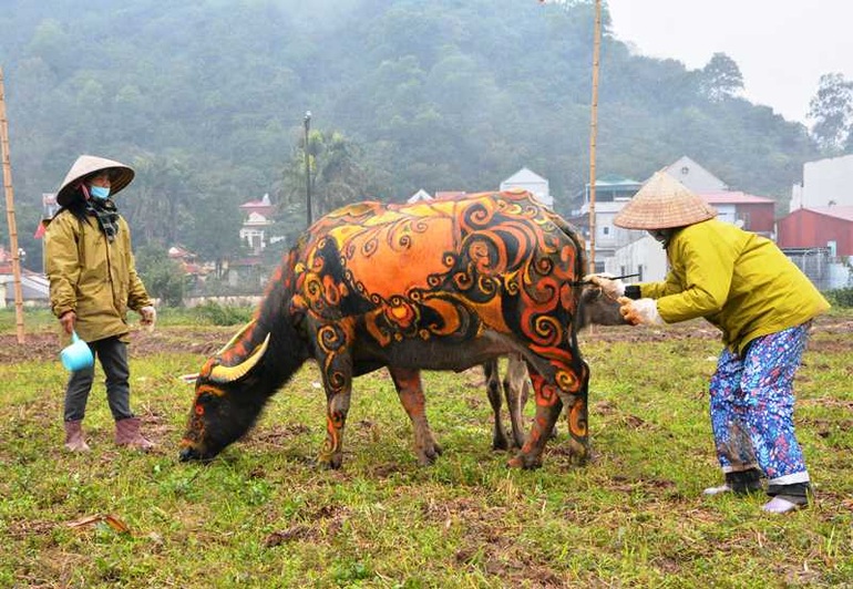 Trâu hóa hổ cho ngày lễ Tịch điền năm Dần  - 1