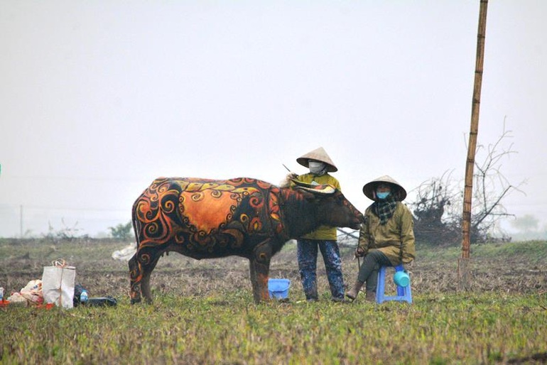 Trâu hóa hổ cho ngày lễ Tịch điền năm Dần  - 6