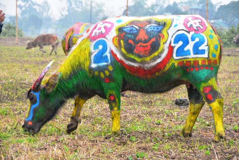 Trâu hóa hổ cho ngày lễ Tịch điền năm Dần  - 12