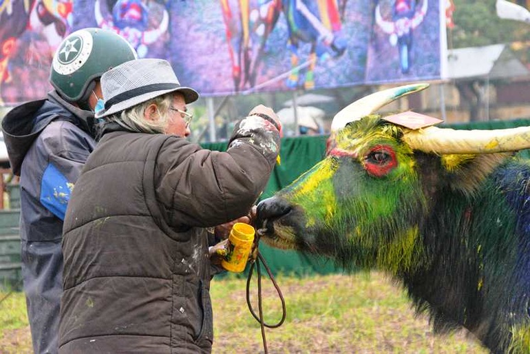 Trâu hóa hổ cho ngày lễ Tịch điền năm Dần  - 9
