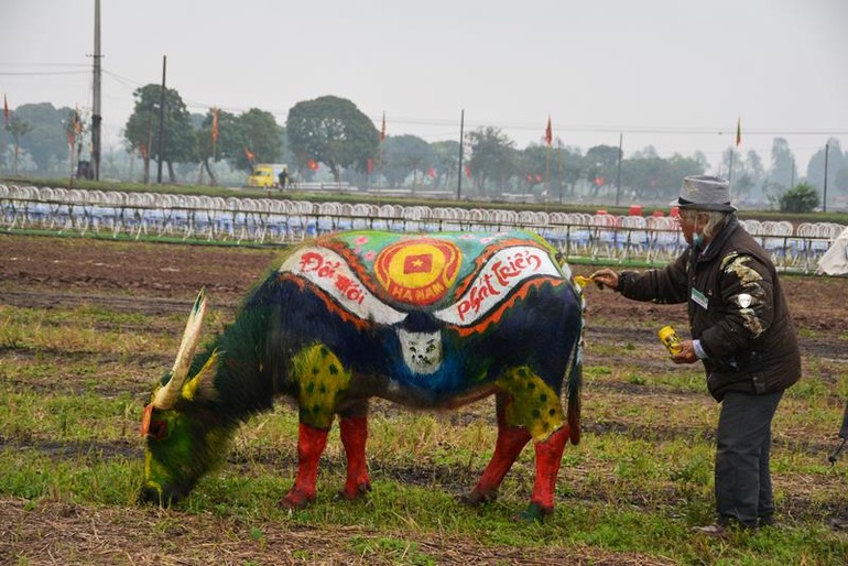 Trâu hóa hổ cho ngày lễ Tịch điền năm Dần  - 10