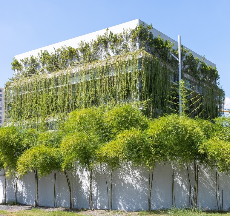 Hút mắt với vườn tre xanh 3 lớp của căn nhà ở TPHCM - 1 Hút mắt với vườn tre xanh 3 lớp của căn nhà ở TPHCM - 1