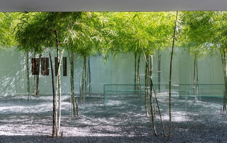 Hút mắt với vườn tre xanh 3 lớp của căn nhà ở TPHCM - 3 Hút mắt với vườn tre xanh 3 lớp của căn nhà ở TPHCM - 3