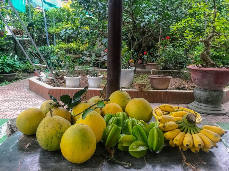 Khu vườn trong mơ với gần 40 loại rau quả sai trĩu trịt giữa lòng Hà Nội - 3 Khu vườn trong mơ với gần 40 loại rau quả sai trĩu trịt giữa lòng Hà Nội - 3