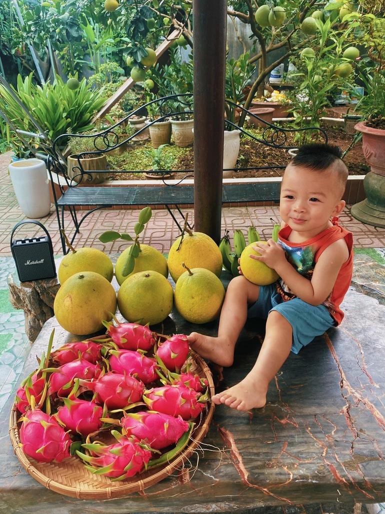 Khu vườn trong mơ với gần 40 loại rau quả sai trĩu trịt giữa lòng Hà Nội - 5 Khu vườn trong mơ với gần 40 loại rau quả sai trĩu trịt giữa lòng Hà Nội - 5