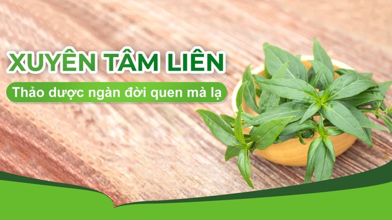 Hỗ trợ dứt cơn ho lâu ngày cùng vị thảo dược ngàn đời quen thuộc - 1 Hỗ trợ dứt cơn ho lâu ngày cùng vị thảo dược ngàn đời quen thuộc - 1