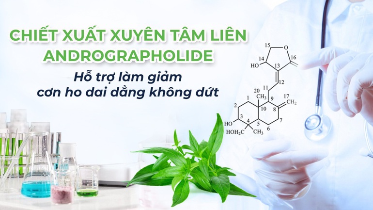 Hỗ trợ dứt cơn ho lâu ngày cùng vị thảo dược ngàn đời quen thuộc - 3 Hỗ trợ dứt cơn ho lâu ngày cùng vị thảo dược ngàn đời quen thuộc - 3