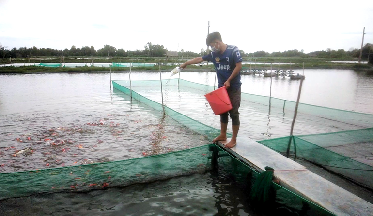 TPHCM: Nông dân CLB 1 tỷ thi nhau làm giàu - 2 TPHCM: Nông dân CLB 1 tỷ thi nhau làm giàu - 2