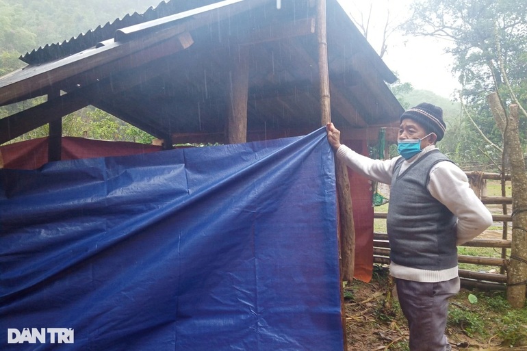 Hàng trăm con trâu bò lăn ra chết vì giá rét - 7 Hàng trăm con trâu bò lăn ra chết vì giá rét - 7