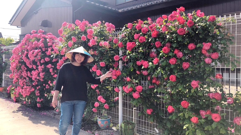 Mẹ Việt đưa 200 chậu gốm sang Nhật làm vườn hoa hồng 400 m2 \