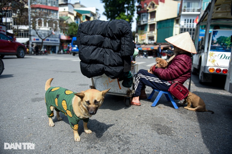 Cụ bà 101 tuổi ôm đàn chó đi nhặt rác, bán hàng rong trong rét buốt Hà Nội - 5 Cụ bà 101 tuổi ôm đàn chó đi nhặt rác, bán hàng rong trong rét buốt Hà Nội - 5