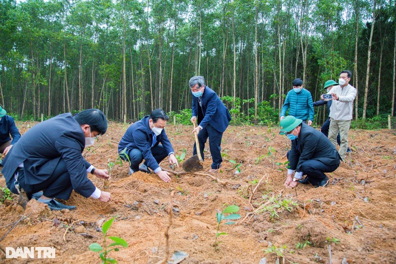 Cơ hội đổi đời từ cây quế khi cao dược liệu đã xuất được sang Mỹ - 5 Cơ hội đổi đời từ cây quế khi cao dược liệu đã xuất được sang Mỹ - 5