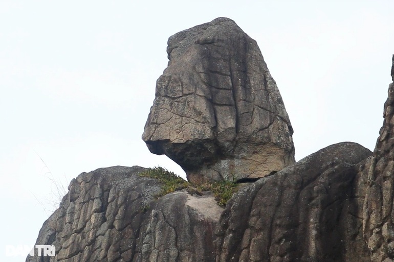 The mystery of the massive Buddha stone statue on top of Chu Pao mountain in Gia Lai - 5