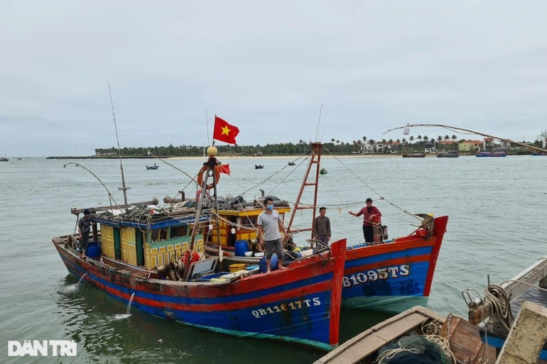 Giá xăng dầu tăng chóng mặt, ngư dân thêm chật vật - 4 Giá xăng dầu tăng chóng mặt, ngư dân thêm chật vật - 4