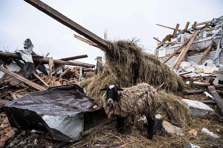 Ukraine tan hoang sau 7 ngày chiến sự - 3