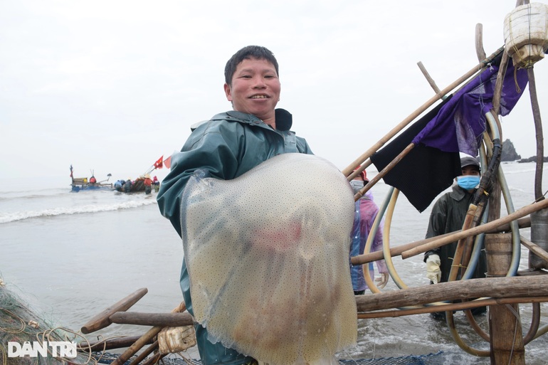 Vào vụ, ngư dân kiếm tiền triệu mỗi ngày từ sứa biển - 6 Vào vụ, ngư dân kiếm tiền triệu mỗi ngày từ sứa biển - 6