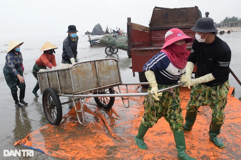 Vào vụ, ngư dân kiếm tiền triệu mỗi ngày từ sứa biển - 3 Vào vụ, ngư dân kiếm tiền triệu mỗi ngày từ sứa biển - 3