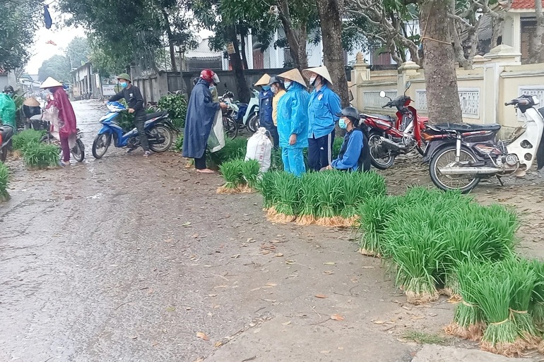 Nhổ lúa non bán như rau, nông dân bỏ túi cả trăm ngàn đồng mỗi ngày - 1 Nhổ lúa non bán như rau, nông dân bỏ túi cả trăm ngàn đồng mỗi ngày - 1