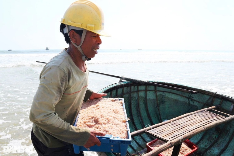 Bắt con nhỏ mà có võ, ngư dân thu tiền đều tay mỗi ngày - 4 Bắt con nhỏ mà có võ, ngư dân thu tiền đều tay mỗi ngày - 4