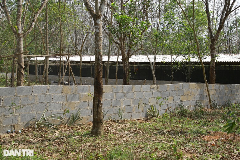Bộ GTVT vào cuộc vụ công trình đón đầu đền bù dự án cao tốc Bắc - Nam - 2 Bộ GTVT vào cuộc vụ công trình đón đầu đền bù dự án cao tốc Bắc - Nam - 2
