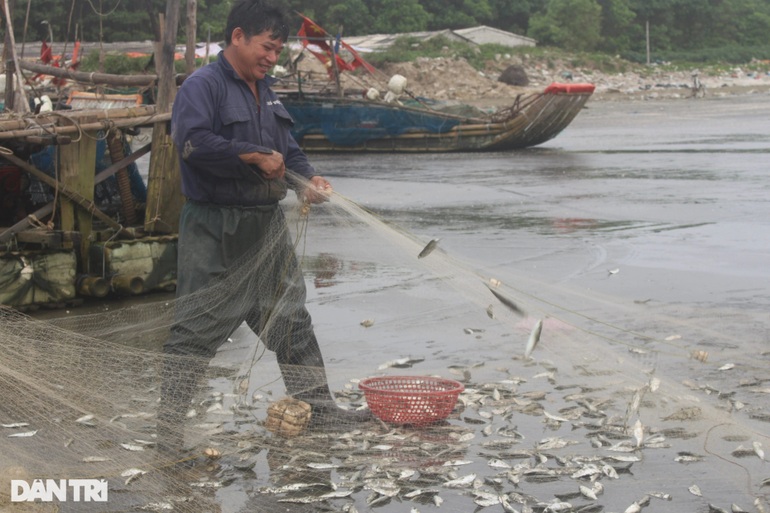 Sau gần nửa ngày đánh bắt gần bờ, ngư dân kiếm tiền triệu - 3 Sau gần nửa ngày đánh bắt gần bờ, ngư dân kiếm tiền triệu - 3