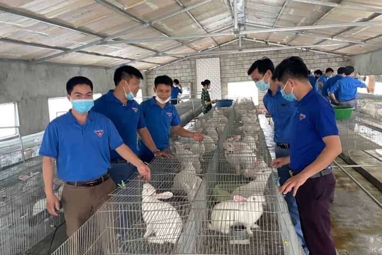 Bí thư Đoàn xã bắt đất cằn đẻ tiền - 5 Bí thư Đoàn xã bắt đất cằn đẻ tiền - 5