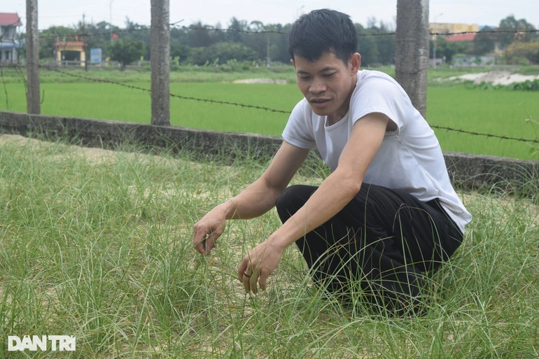 Trồng cỏ dại, người đàn ông khuyết tật khiến cả làng bất ngờ - 1 Trồng cỏ dại, người đàn ông khuyết tật khiến cả làng bất ngờ - 1