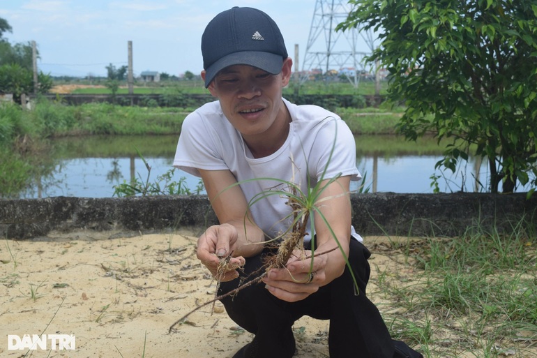 Trồng cỏ dại, người đàn ông khuyết tật khiến cả làng bất ngờ - 5 Trồng cỏ dại, người đàn ông khuyết tật khiến cả làng bất ngờ - 5