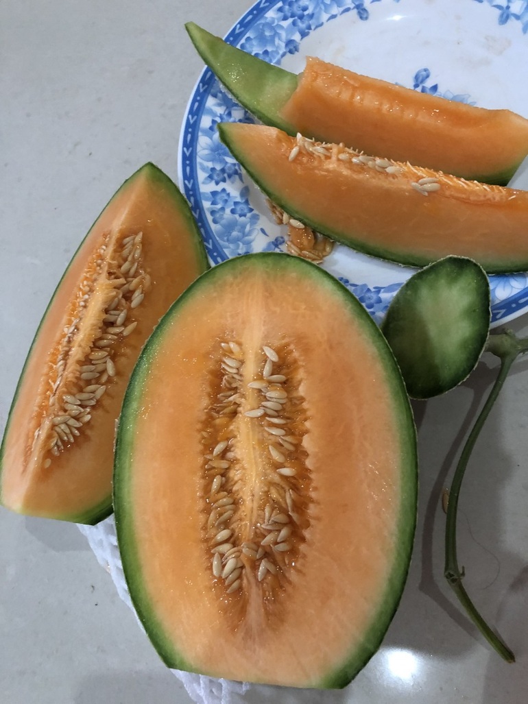 Vợ chồng giáo viên vùng sâu, thu nhập hàng trăm triệu nhờ nghề tay trái - 6 Vợ chồng giáo viên vùng sâu, thu nhập hàng trăm triệu nhờ nghề tay trái - 6
