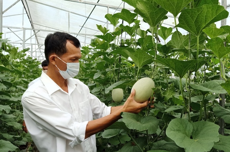 Vợ chồng giáo viên vùng sâu, thu nhập hàng trăm triệu nhờ nghề tay trái - 2 Vợ chồng giáo viên vùng sâu, thu nhập hàng trăm triệu nhờ nghề tay trái - 2