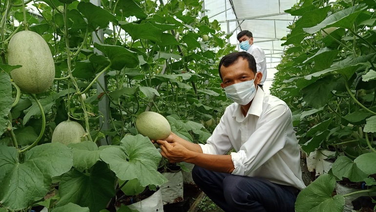 Vợ chồng giáo viên vùng sâu, thu nhập hàng trăm triệu nhờ nghề tay trái - 7 Vợ chồng giáo viên vùng sâu, thu nhập hàng trăm triệu nhờ nghề tay trái - 7