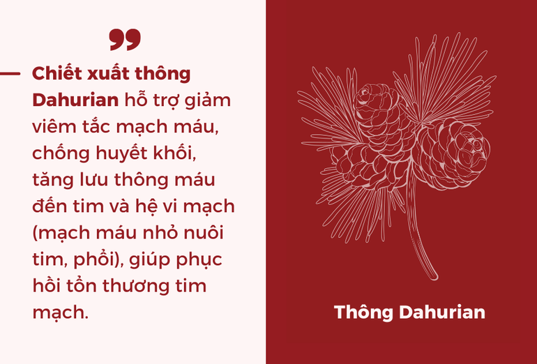 Biến chứng tim mạch hậu Covid-19 nguy hiểm và khó lường: Giải pháp là gì? - 2 Biến chứng tim mạch hậu Covid-19 nguy hiểm và khó lường: Giải pháp là gì? - 2