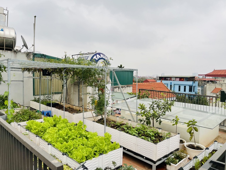 Cặp vợ chồng chi 50 triệu đồng, bê 2 tấn đất, làm vườn sân thượng ở Hà Nội - 1