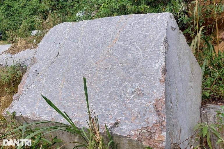 Những bất thường xung quanh vụ bảo vệ công ty khoáng sản chặt phá rừng - 5 Những bất thường xung quanh vụ bảo vệ công ty khoáng sản chặt phá rừng - 5