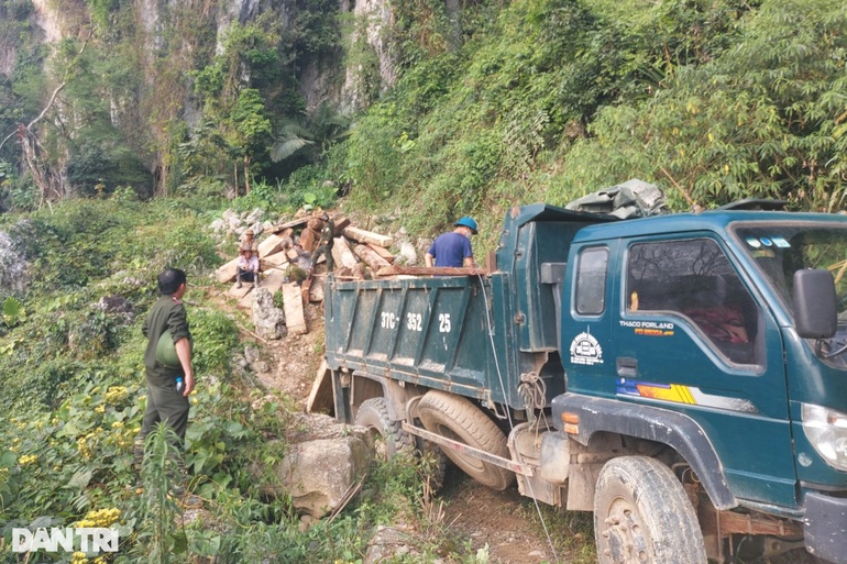 Những bất thường xung quanh vụ bảo vệ công ty khoáng sản chặt phá rừng - 4