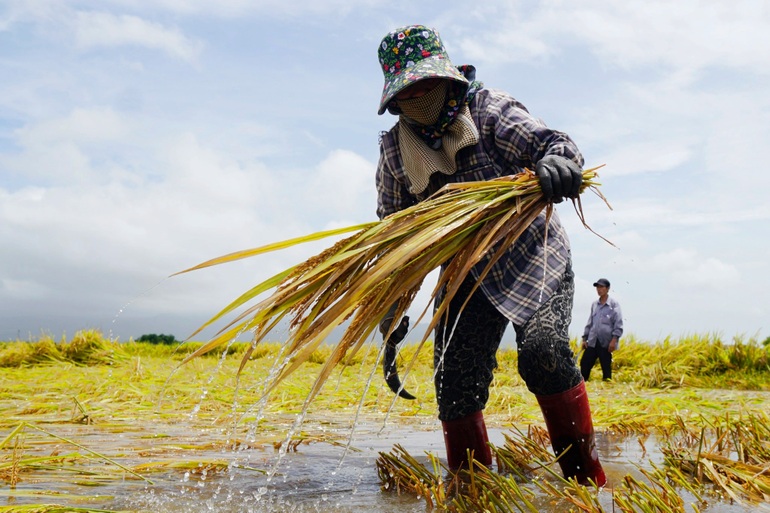 Nông dân bật khóc, bất lực nhìn mưa lũ cướp đi sản nghiệp