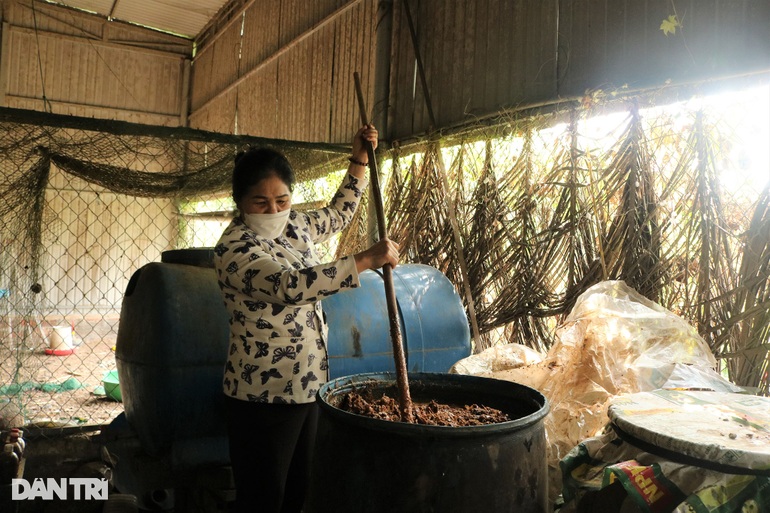 Nữ nông dân U60 tăng thu nhập nhờ... phân cá bón cây