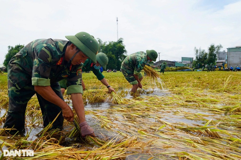 Nông dân bật khóc, bất lực nhìn mưa lũ cướp đi sản nghiệp  - 2