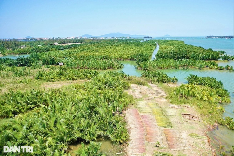 Những chàng trai làm giấy mỹ thuật từ nguyên liệu có một không hai - 5