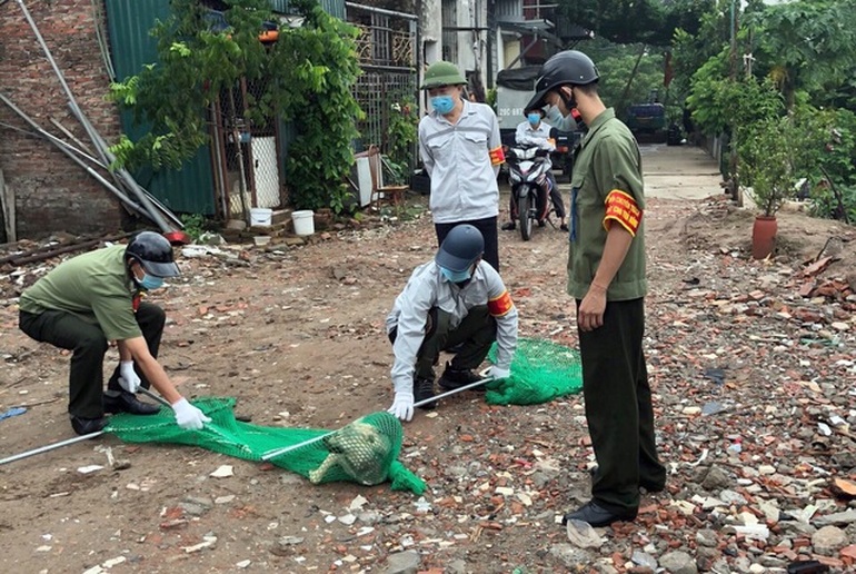Hà Nội lập gần 600 đội bắt chó thả rông - 1