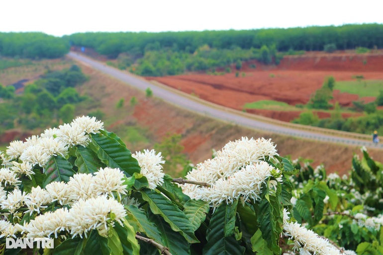 The unique steep road in Gia Lai attracts visitors to check-in - 3