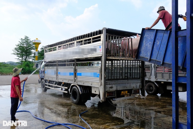 Đoàn kiểm tra an toàn thực phẩm nhiều lần bị sỉ nhục, ném thịt heo vào mặt - 4