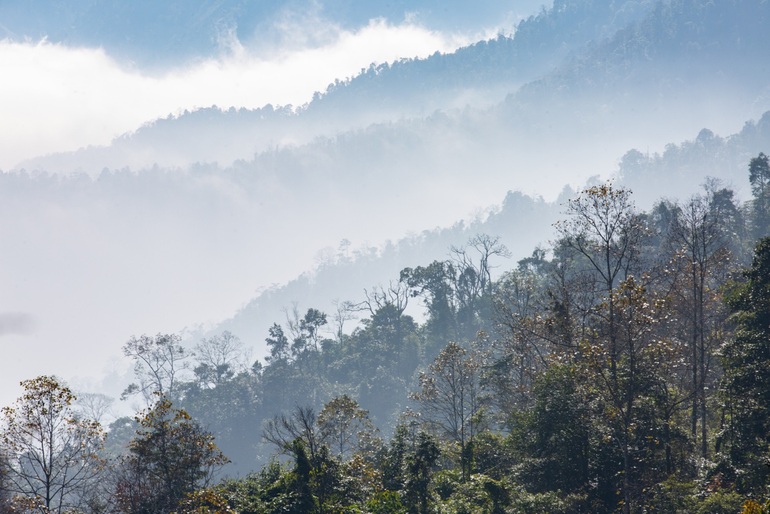 Conquer the spines of dinosaurs and the magical moss forest on the top of Ta Xua - 15