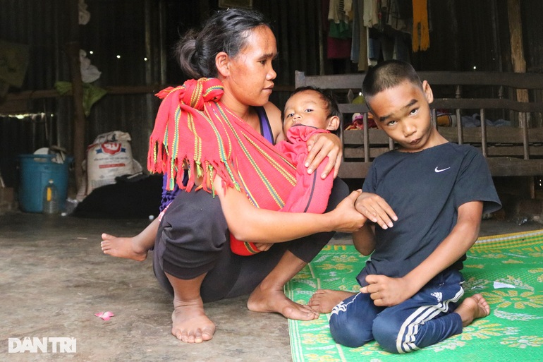 Couple living in makeshift tents, carrying disabled children to herd rented cows - 2