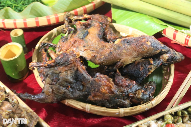 Vượt núi lên thủ phủ sâm ngọc Linh thưởng thức chuột quý tộc, cá gác bếp - 3 Vượt núi lên thủ phủ sâm ngọc Linh thưởng thức chuột quý tộc, cá gác bếp - 3