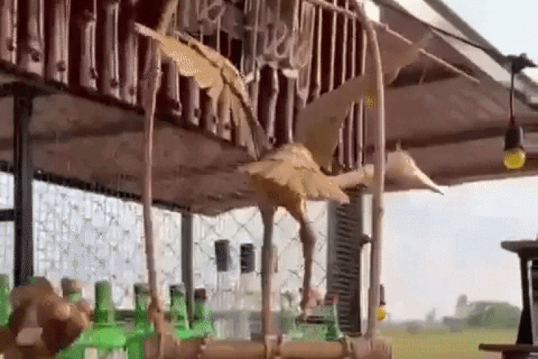 Admire the unique stork wind chimes of Tay Ninh boys - 3