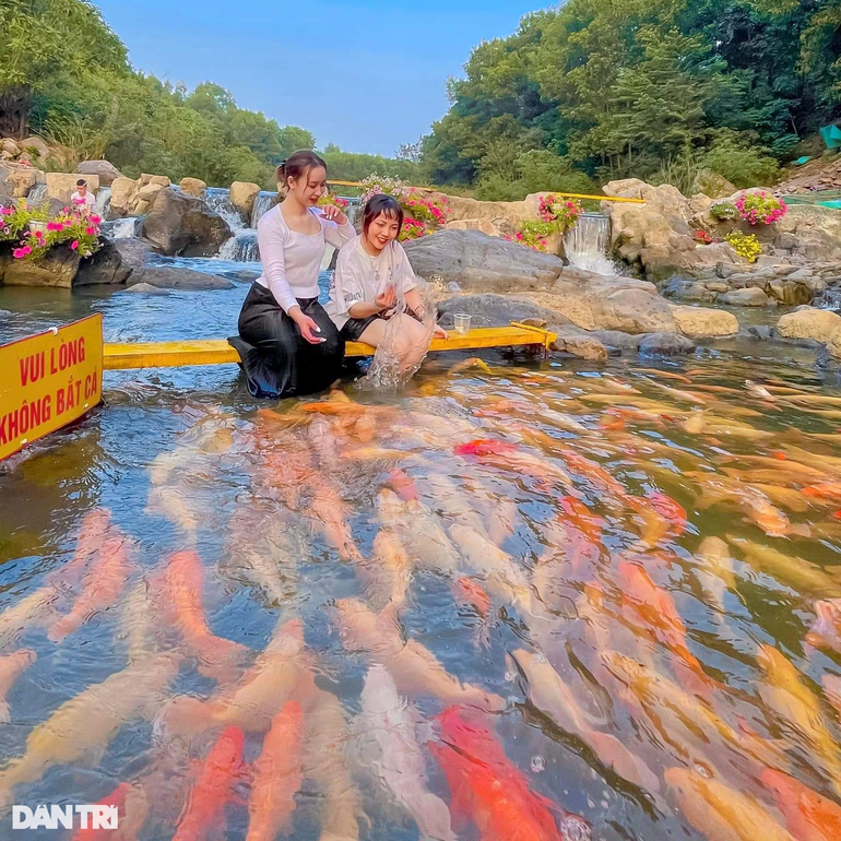Chiêm ngưỡng dòng suối cá vàng độc đáo ở miền Tây xứ Nghệ - 10